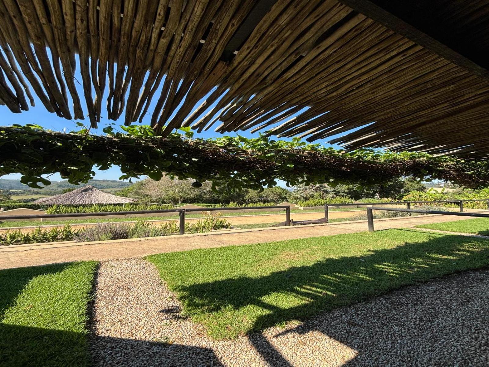 Howberry Hills Plettenberg Bay Rom bilde